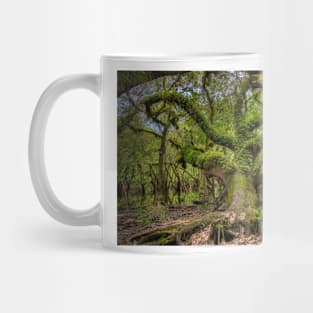 Fern covered oak Mug